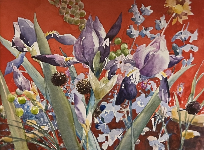"Iris Garden"