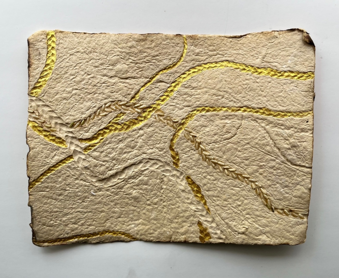 Hair Map Series #17 of 21