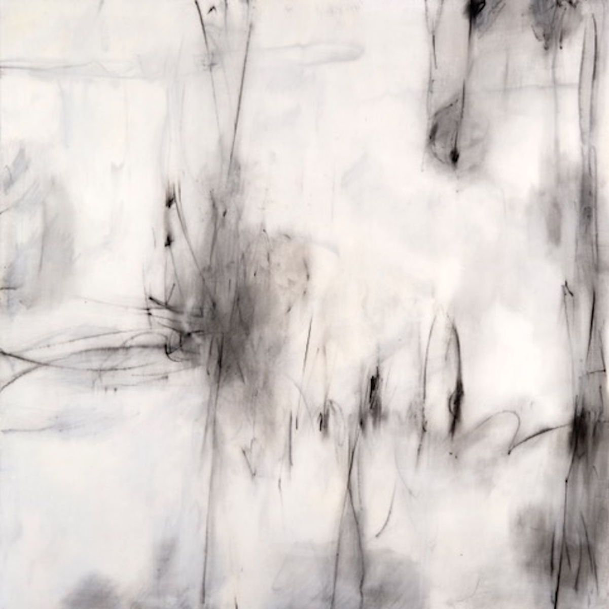 In Contrast by Val Rossman